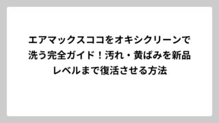 エアマックスココをオキシクリーンで洗う完全ガイド！汚れ・黄ばみを新品レベルまで復活させる方法