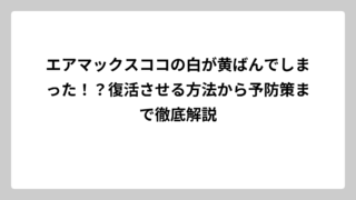 エアマックスココの白が黄ばんでしまった！？復活させる方法から予防策まで徹底解説
