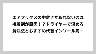 エアマックスの中敷きが取れないのは接着剤が原因！？ドライヤーで温める解決法とおすすめ代替インソール完全ガイド