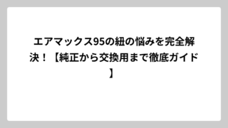 エアマックス95の紐の悩みを完全解決！【純正から交換用まで徹底ガイド】