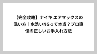 【完全攻略】ナイキ エアマックスの洗い方｜水洗いNGって本当？プロ直伝の正しいお手入れ方法