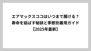 エアマックスココはいつまで履ける？寿命を延ばす秘訣と季節別着用ガイド【2025年最新】