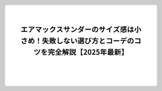 エアマックスサンダーのサイズ感は小さめ！失敗しない選び方とコーデのコツを完全解説【2025年最新】
