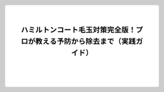 ハミルトンコート毛玉対策完全版！プロが教える予防から除去まで（実践ガイド）