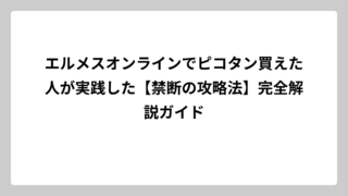 エルメスオンラインでピコタン買えた人が実践した【禁断の攻略法】完全解説ガイド