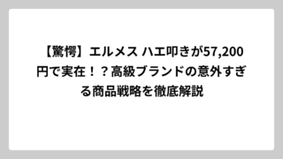 【驚愕】エルメス ハエ叩きが57,200円で実在！？高級ブランドの意外すぎる商品戦略を徹底解説