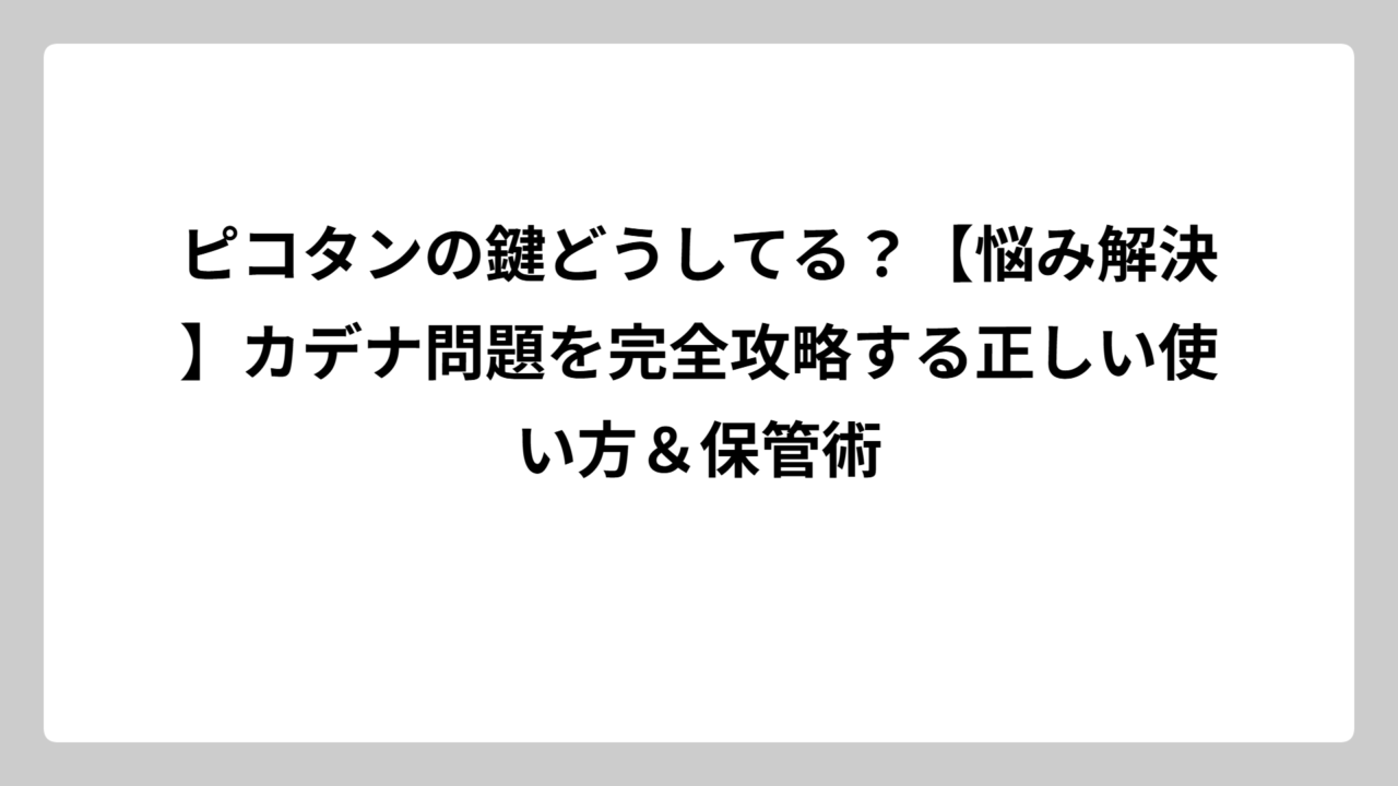 ピコタンの鍵どうしてる？【悩み解決】カデナ問題を完全攻略する正しい使い方＆保管術