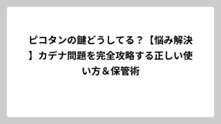 ピコタンの鍵どうしてる？【悩み解決】カデナ問題を完全攻略する正しい使い方＆保管術