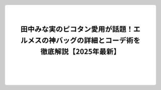 田中みな実のピコタン愛用が話題！エルメスの神バッグの詳細とコーデ術を徹底解説【2025年最新】