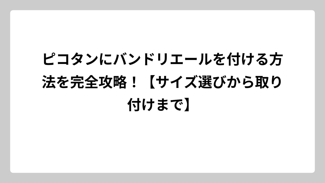 ピコタンにバンドリエールを付ける方法を完全攻略！【サイズ選びから取り付けまで】