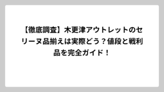 【徹底調査】木更津アウトレットのセリーヌ品揃えは実際どう？値段と戦利品を完全ガイド！