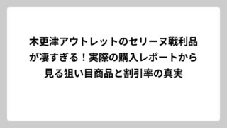 木更津アウトレットのセリーヌ戦利品が凄すぎる！実際の購入レポートから見る狙い目商品と割引率の真実