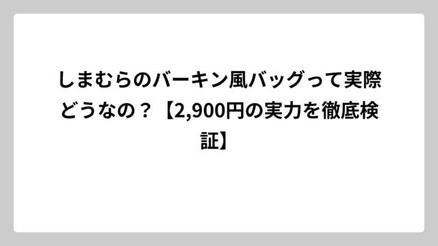しまむらのバーキン風バッグって実際どうなの？【2,900円の実力を徹底検証】