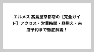 エルメス 髙島屋京都店の【完全ガイド】アクセス・営業時間・品揃え・来店予約まで徹底解説！