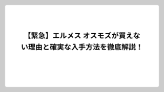 【緊急】エルメス オスモズが買えない理由と確実な入手方法を徹底解説！