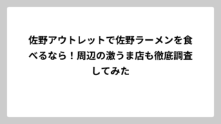 佐野アウトレットで佐野ラーメンを食べるなら！周辺の激うま店も徹底調査してみた