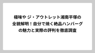 極味や ジ・アウトレット湘南平塚の全貌解明！自分で焼く絶品ハンバーグの魅力と実際の評判を徹底調査