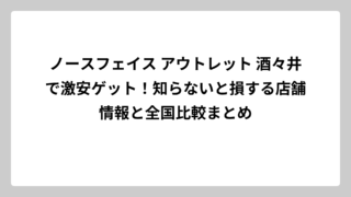 ノースフェイス アウトレット 酒々井で激安ゲット！知らないと損する店舗情報と全国比較まとめ