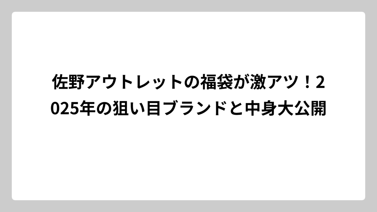 佐野アウトレットの福袋が激アツ！2025年の狙い目ブランドと中身大公開