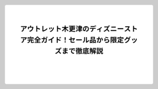 アウトレット木更津のディズニーストア完全ガイド！セール品から限定グッズまで徹底解説