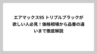 エアマックス95 トリプルブラックが欲しい人必見！価格相場から品番の違いまで徹底解説