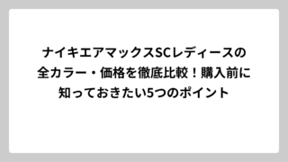 ナイキエアマックスSCレディースの全カラー・価格を徹底比較！購入前に知っておきたい5つのポイント