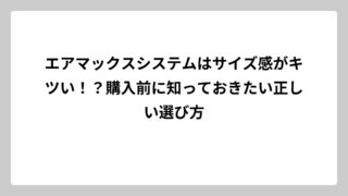 エアマックスシステムはサイズ感がキツい！？購入前に知っておきたい正しい選び方
