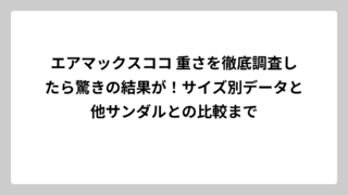 エアマックスココ 重さを徹底調査したら驚きの結果が！サイズ別データと他サンダルとの比較まで