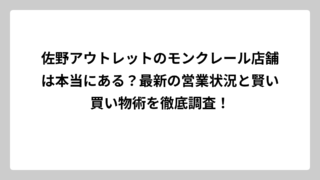 佐野アウトレットのモンクレール店舗は本当にある？最新の営業状況と賢い買い物術を徹底調査！