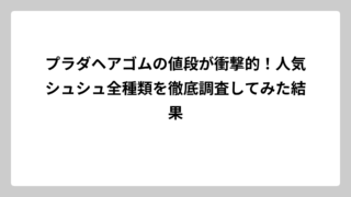 プラダヘアゴムの値段が衝撃的！人気シュシュ全種類を徹底調査してみた結果