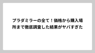 プラダミラーの全て！価格から購入場所まで徹底調査した結果がヤバすぎた