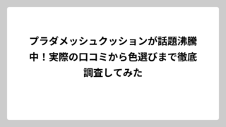 プラダメッシュクッションが話題沸騰中！実際の口コミから色選びまで徹底調査してみた
