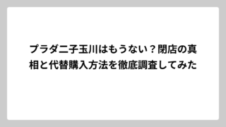プラダ二子玉川はもうない？閉店の真相と代替購入方法を徹底調査してみた