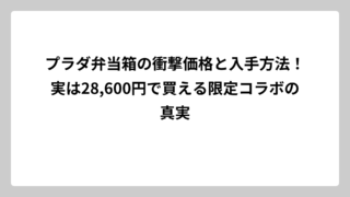 プラダ弁当箱の衝撃価格と入手方法！実は28,600円で買える限定コラボの真実