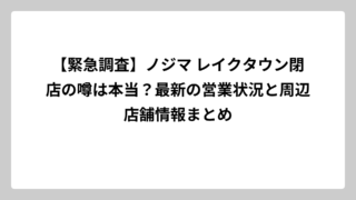 【緊急調査】ノジマ レイクタウン閉店の噂は本当？最新の営業状況と周辺店舗情報まとめ