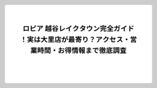 ロピア 越谷レイクタウン完全ガイド！実は大里店が最寄り？アクセス・営業時間・お得情報まで徹底調査
