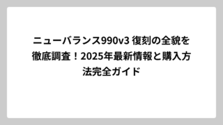 ニューバランス990v3 復刻の全貌を徹底調査！2025年最新情報と購入方法完全ガイド
