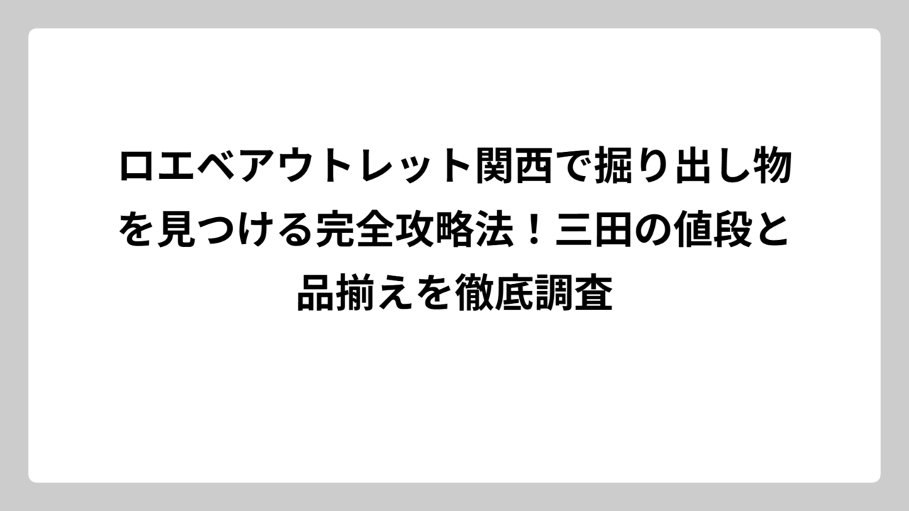 ロエベアウトレット関西で掘り出し物を見つける完全攻略法！三田の値段と品揃えを徹底調査