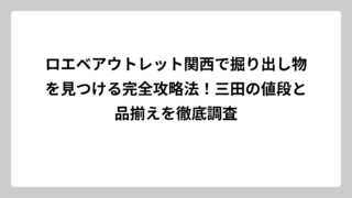 ロエベアウトレット関西で掘り出し物を見つける完全攻略法！三田の値段と品揃えを徹底調査