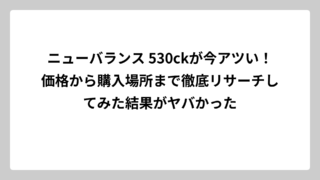 ニューバランス 530ckが今アツい！価格から購入場所まで徹底リサーチしてみた結果がヤバかった