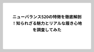 ニューバランス520の特徴を徹底解剖！知られざる魅力とリアルな履き心地を調査してみた
