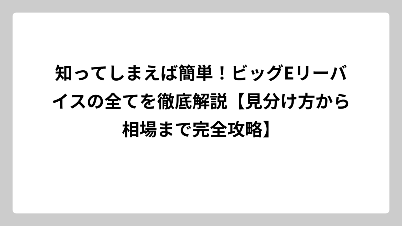 知ってしまえば簡単！ビッグEリーバイスの全てを徹底解説【見分け方から相場まで完全攻略】