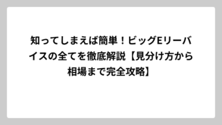 知ってしまえば簡単！ビッグEリーバイスの全てを徹底解説【見分け方から相場まで完全攻略】