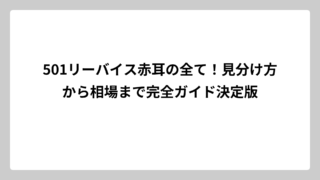 501リーバイス赤耳の全て！見分け方から相場まで完全ガイド決定版
