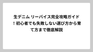 生デニム リーバイス完全攻略ガイド！初心者でも失敗しない選び方から育て方まで徹底解説