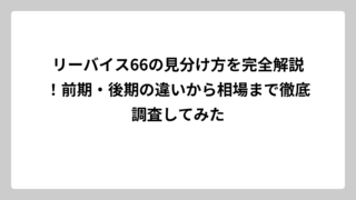 リーバイス66の見分け方を完全解説！前期・後期の違いから相場まで徹底調査してみた