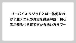 リーバイス リジッドとは一体何なのか？生デニムの真実を徹底解説！初心者が知るべき育て方から洗い方まで完全ガイド