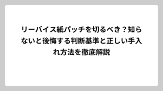 リーバイス紙パッチを切るべき？知らないと後悔する判断基準と正しい手入れ方法を徹底解説