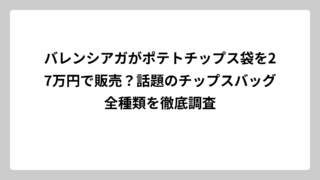 バレンシアガがポテトチップス袋を27万円で販売？話題のチップスバッグ全種類を徹底調査