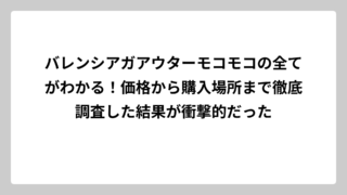 バレンシアガアウターモコモコの全てがわかる！価格から購入場所まで徹底調査した結果が衝撃的だった